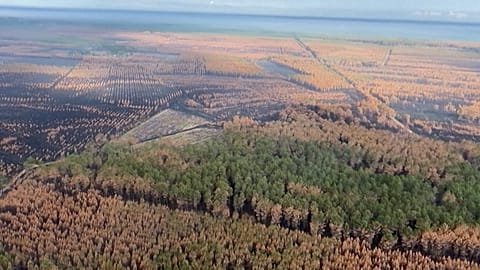 French wildfires: aerial images of burnt areas in Gironde