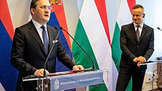 Ο Σέρβος ΥΠΕΞ Nikola Selaković