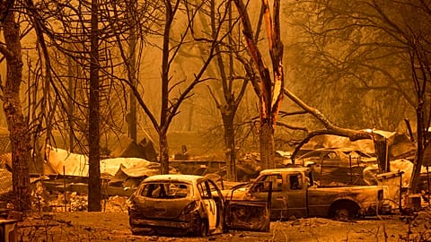Les véhicules détruits dans la forêt de Klamath en Californie
