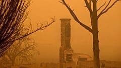 Στιγμιότυπο από τις πυρκαγιές στην Καλιφόρνια (Εθνικός Δρυμός Κλαμάθ)