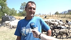 Βόρεια Εύβοια 
