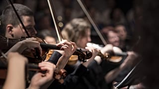 Violinists play in an orchestra