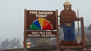 Affiche anti-incendies en Californie