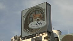 3D dog in Tokyo