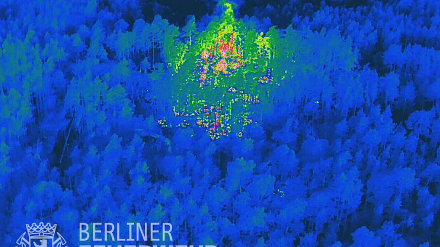 100 Feuerwehrleute waren am Donnerstagmorgen bei einem Flächenbrand im Berliner Grunewald im Einsatz.
