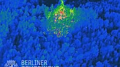 100 Feuerwehrleute waren am Donnerstagmorgen bei einem Flächenbrand im Berliner Grunewald im Einsatz.