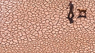 Imagen de archivo. Un hombre camina a través de un embalse seco y agrietado en el este de España