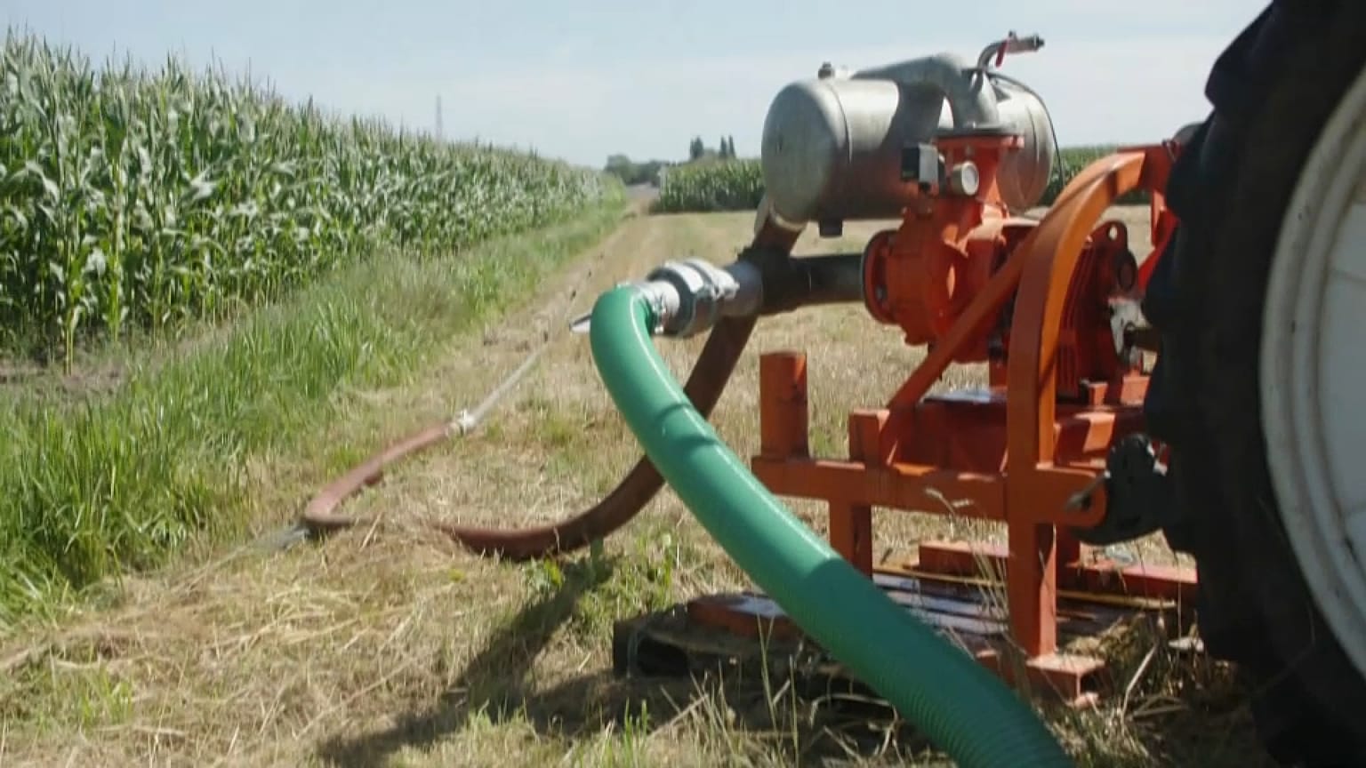 Bewässerung in der niederländischen Landwirtschaft