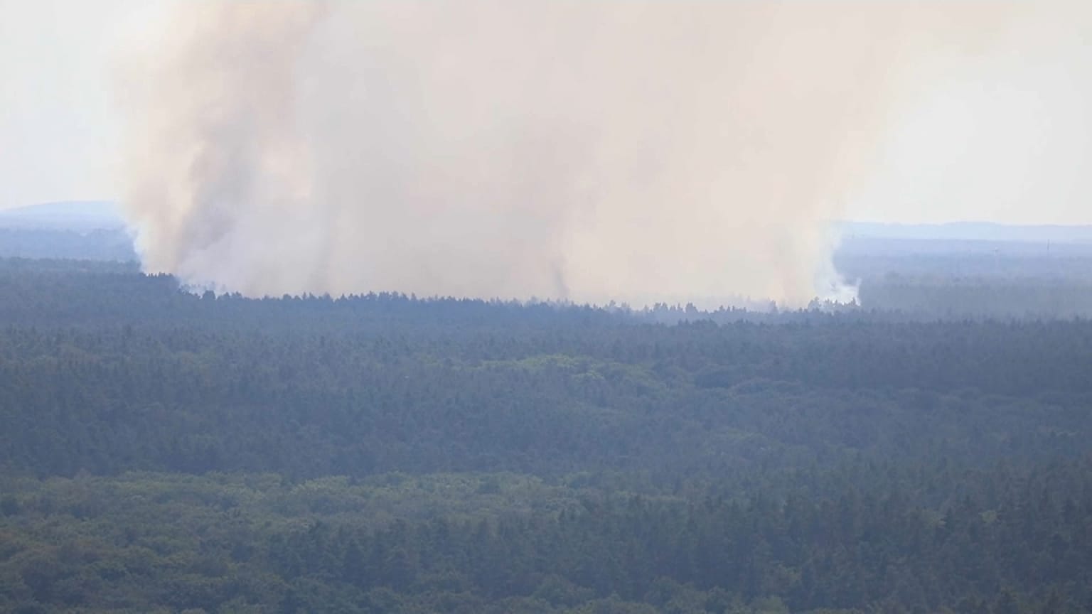 Dichter Rauch liegt über dem Grunewald