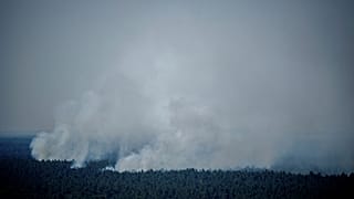 Лесной пожар под Берлином