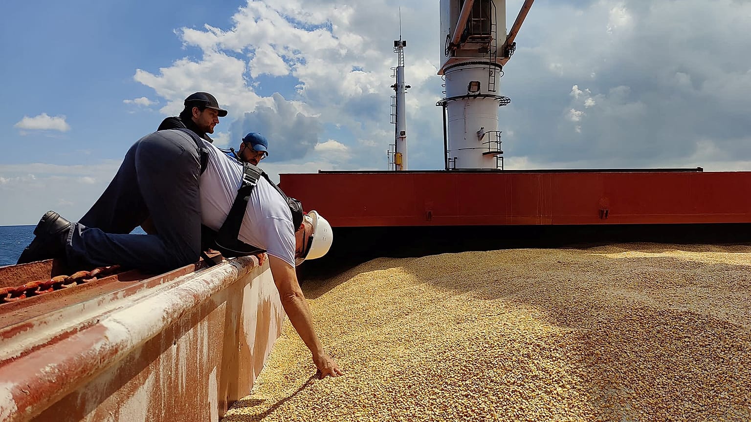 Altri cargo dovrebbero partire dall'Ucraina questo venerdì
