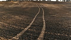 Vista del paisaje quemado tras los incendios forestales que afectaron el norte de España, el 16 de junio de 2022. 