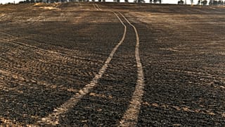 Vista del paisaje quemado tras los incendios forestales que afectaron el norte de España, el 16 de junio de 2022.