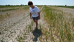Landwirtin betrachtet ausgetrocknetes Reisfeld in der italenischen Poebene