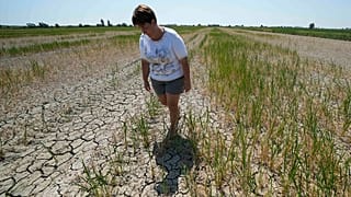 Αγρότισσα περπατάει σε ξερό χωράφι στο Πόρτο Τόλε της Ιταλίας