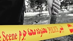 عکس تزئینی است