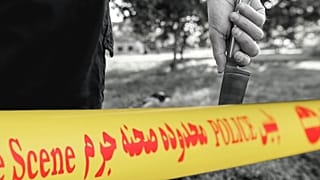 عکس تزئینی است
