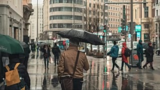 Regenwasser soll laut einer Studie bedenkliche Mengen an Chemikalien enthalten.