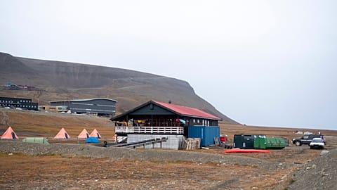 At least six people have been killed by polar bears in the Svalbard region since the 1970s.