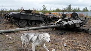 Танк российской армии, уничтоженный в районе Дмитровки под Киевом