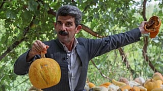 المزارع الكردي العراقي آزاد محمد، المعروف بالمزارع النموذجي في حلبجة، يعرض المنتجات العضوية الطازجة في مزرعته بالقرب من بلدة حلبجة الكردية العراقية، في 6 يوليو 2022.