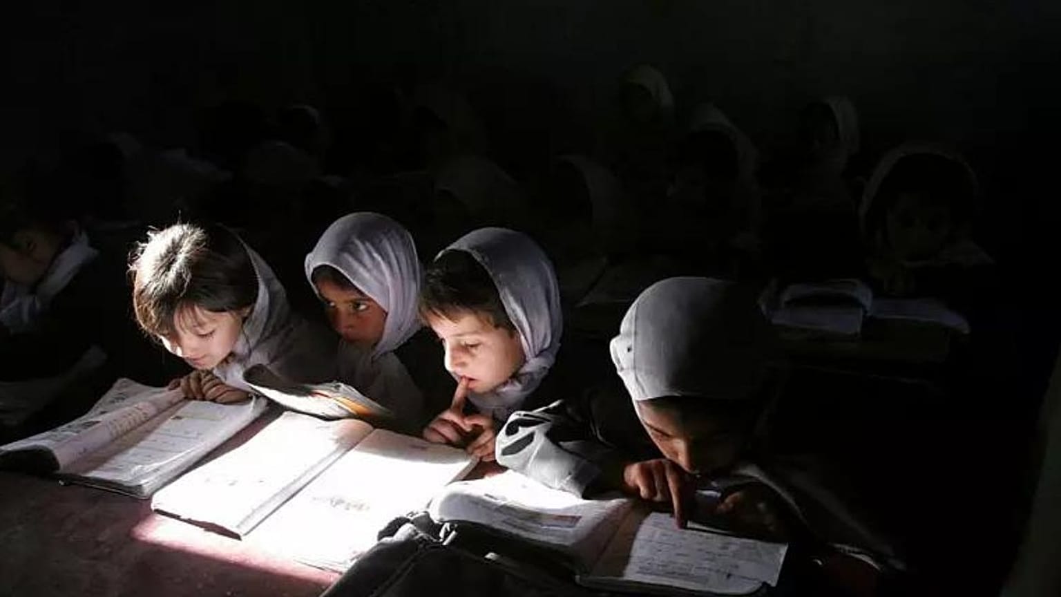 عکس تزئینی است