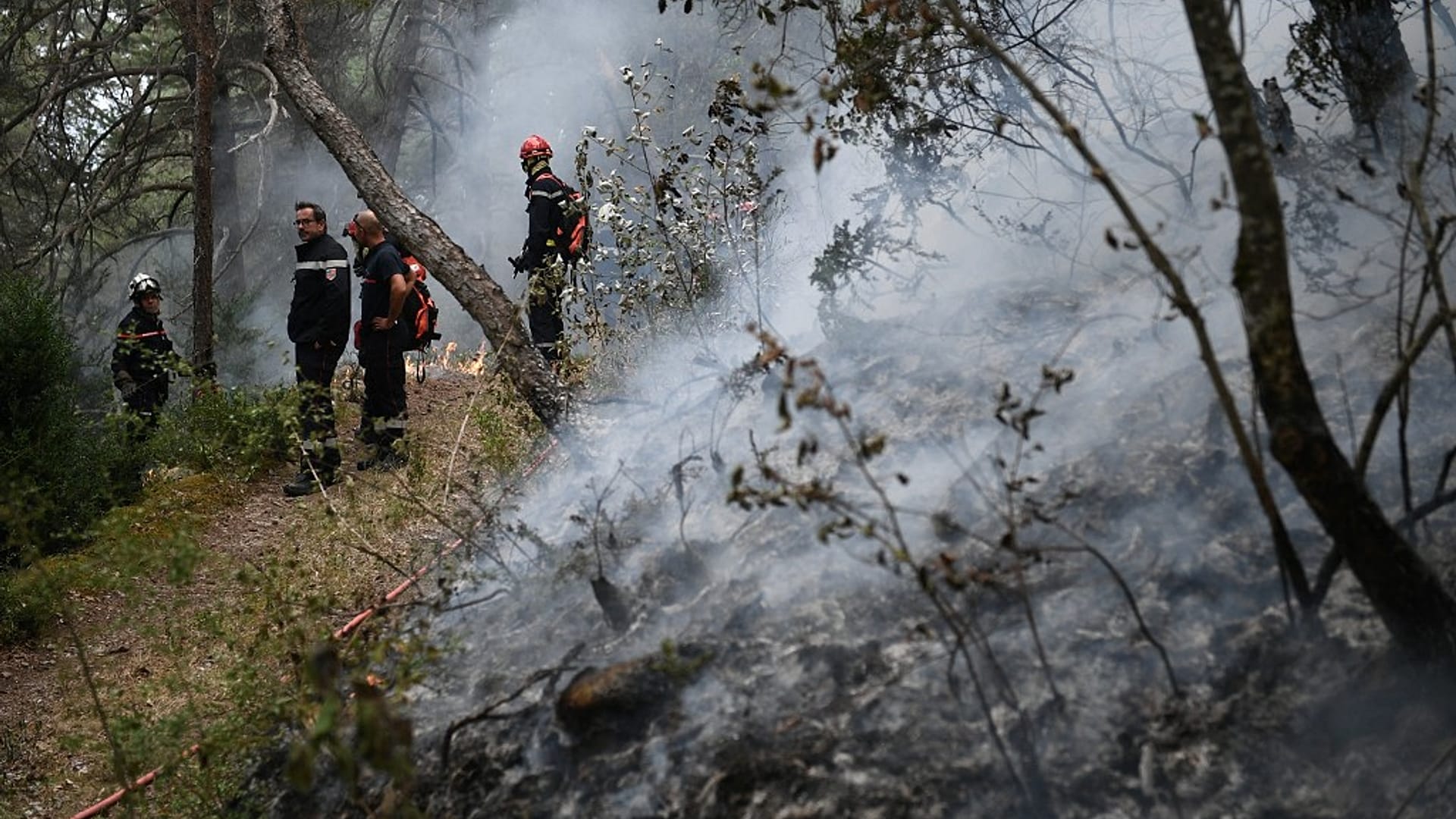 Thousands evacuated in southern France due to new wildfires | Euronews