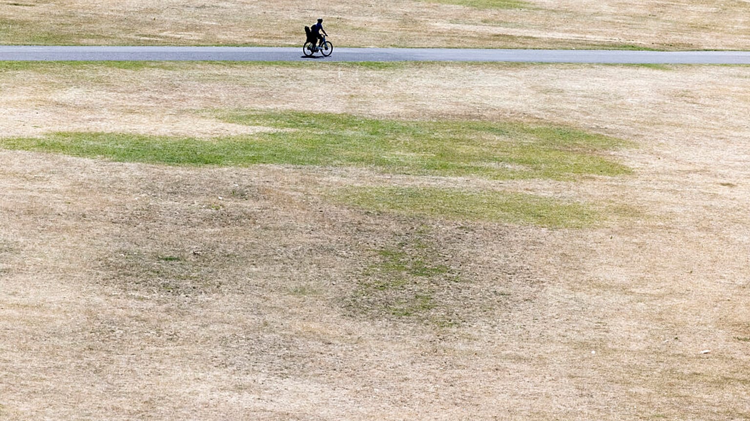 El río Rin, en Alemania, afectado por la sequía que han provocado las altas temperaturas en el país.. 