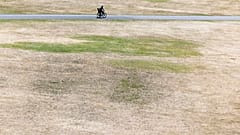 El río Rin, en Alemania, afectado por la sequía que han provocado las altas temperaturas en el país.. 