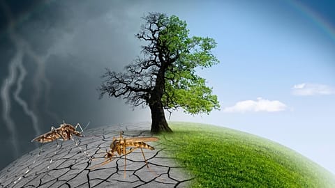 Of 375 diseases analysed in the UH study, 218 proved to be affected by climate change.