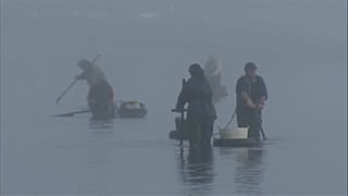 Mariscadoras en A Pobra do Caramiñal, en la ría de Arousa. Galicia, España