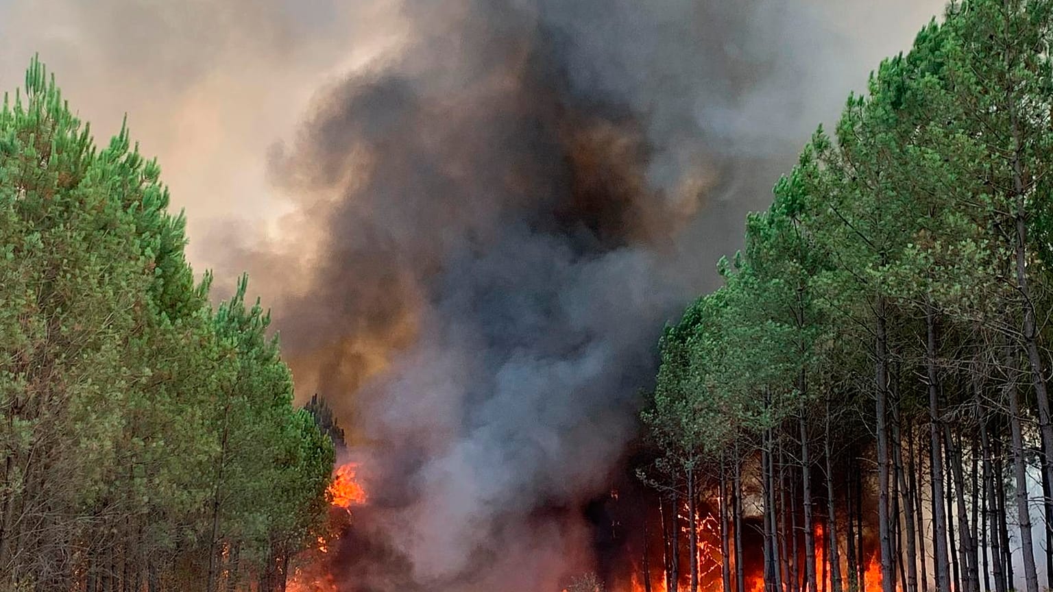 Une épaisse fumée noire et un mur de flammes près de Saint Magne, en Gironde le 10 août 2022