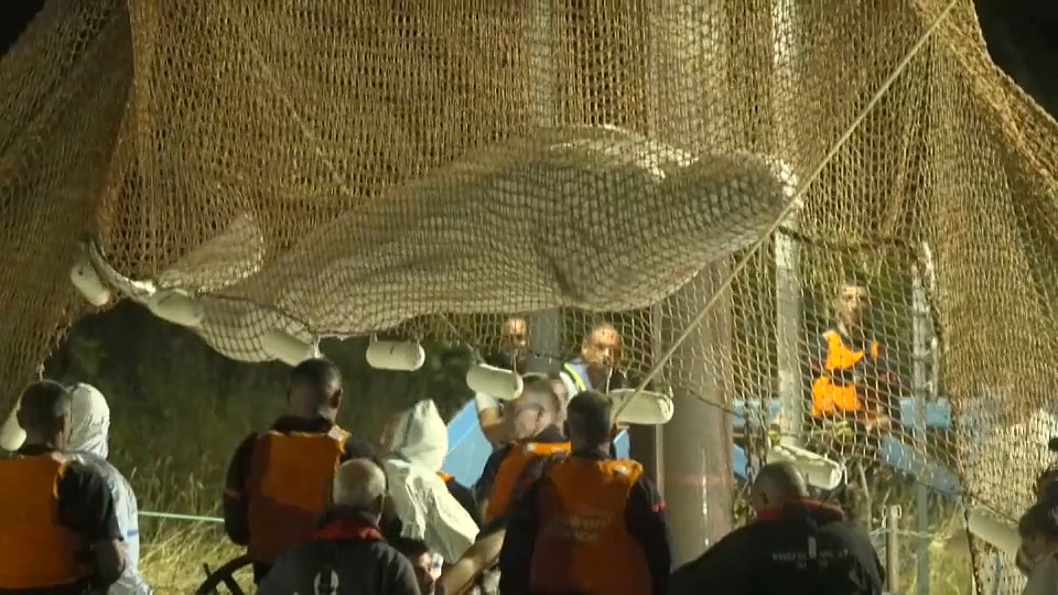 Der in der Seine gestrandete Belugawal wurde aus dem Fluss geholt