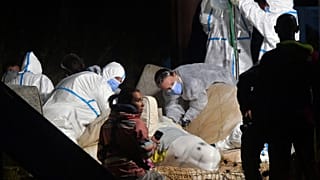 Vets take care of a beluga whale that was stranded in the River Seine at Notre Dame de la-Garenne, northern France