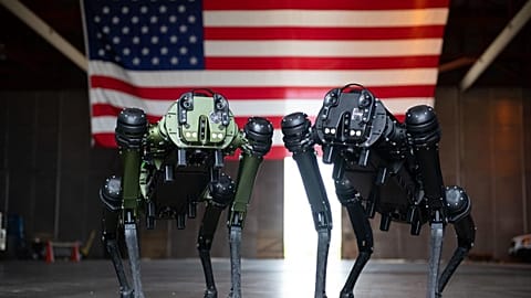 Robot dogs were tested to patrol the Cape Canaveral station of the US Space Force.