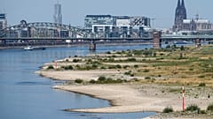 he river Rhine is pictured with low water in Cologne, Germany, Wednesday, Aug. 10, 2022.