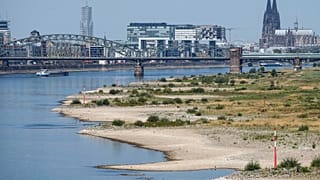 he river Rhine is pictured with low water in Cologne, Germany, Wednesday, Aug. 10, 2022.