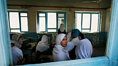 عکس تزئینی است