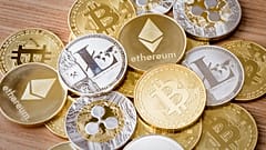  A quarter of the investors surveyed said cryptos were their only investment