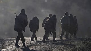 عکس تزئینی است