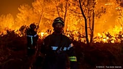 Feuerwehr im Dauereinsatz