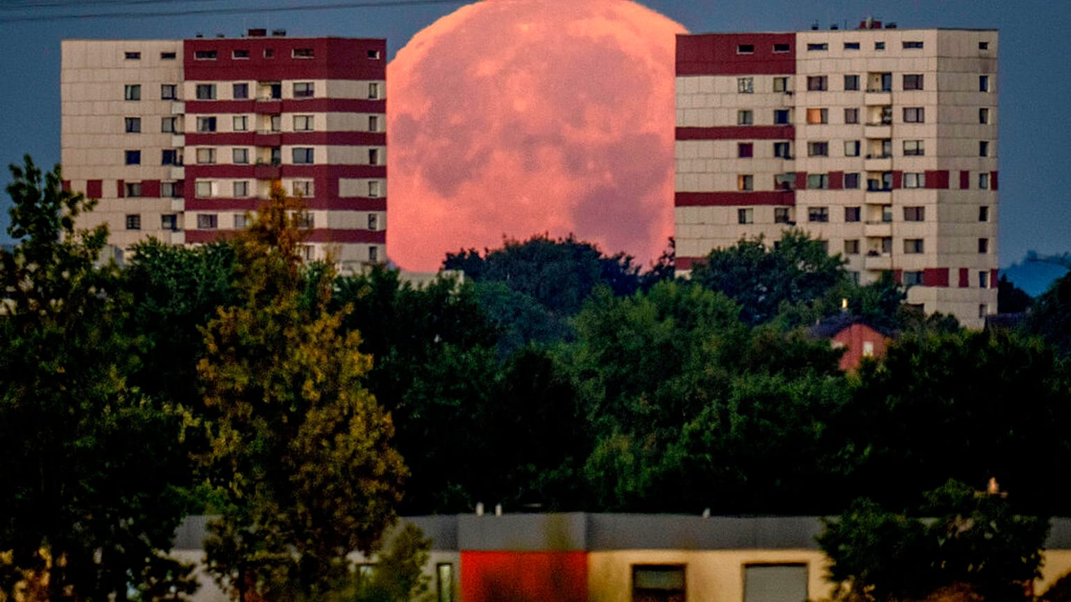 Der "Supermond" bei Frankfurt am Main