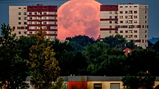 Der "Supermond" bei Frankfurt am Main
