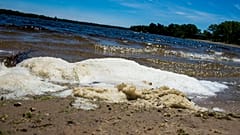  In this June 6, 2018, file photo, PFAS foam washes up on the shoreline of Van Etten Lake in Oscoda Township, Michigan, US.