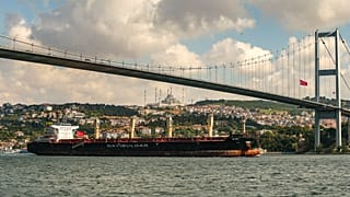Один из первых сухогрузов, которые в августе получили разрешение на выход из украинских портов с зерном
