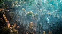 Firefighters on a track next to the smoldering remains of a blaze near Saint-Magne, southwestern France