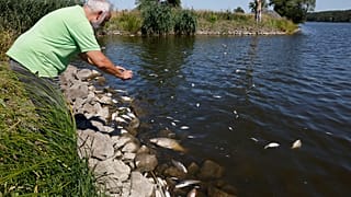 Michel Tautenhahn au bord de la rivière polluée.