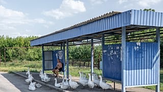 Как и во многих населённых пунктах, расположенных в нескольких километрах от реактора, в Высшетарасовке (Днепропетровская область) обеспокоены эскалацией вокруг ЗАЭС.