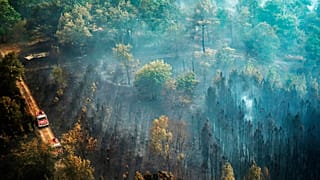 Près de Saint-Magne en Gironde (France), le 11 août 2022. 