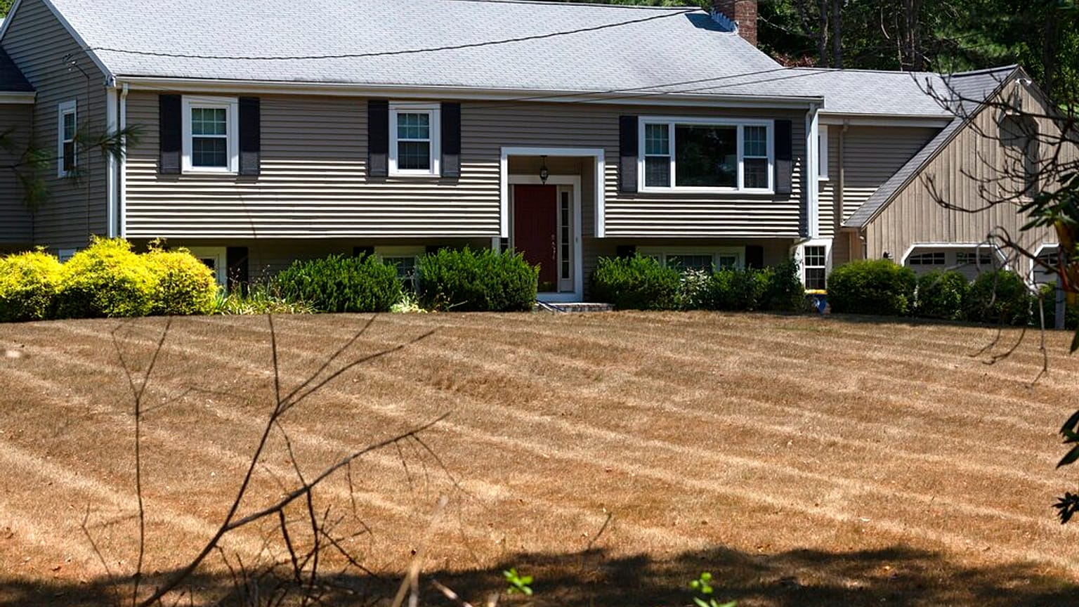 Aszály miatt kiégett fű a Massachusetts-i Norwell-ben